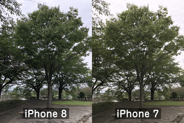 iPhone8とiPhone7の写真比較(木)