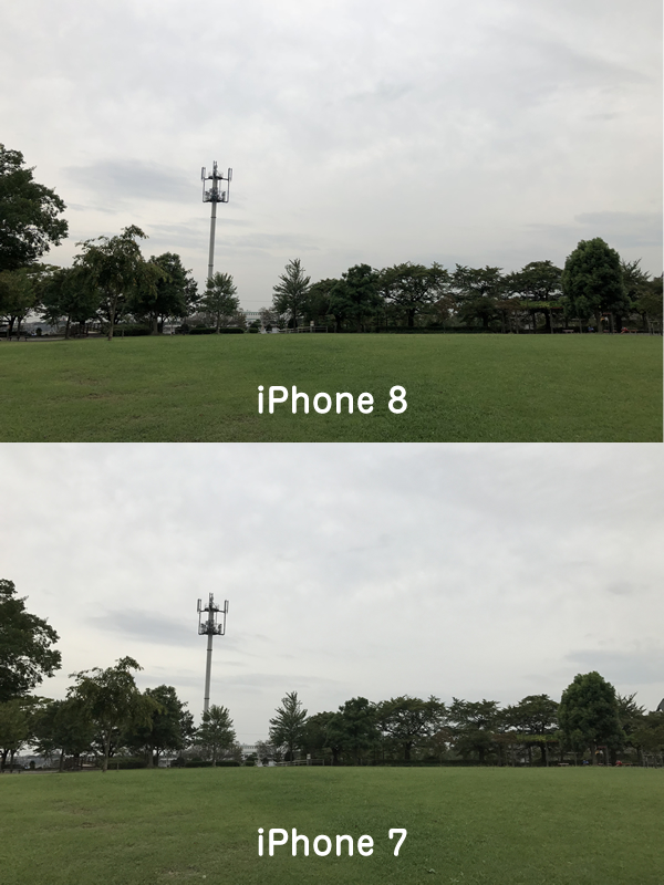 iPhone8とiPhone7の写真比較(公園)