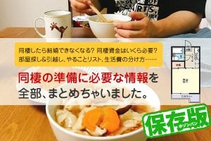 お金・間取り・生活費など、同棲の準備に必要な情報をまとめちゃいました