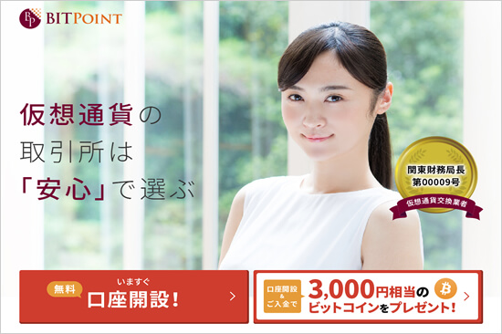 ビットポイントのキャプチャ