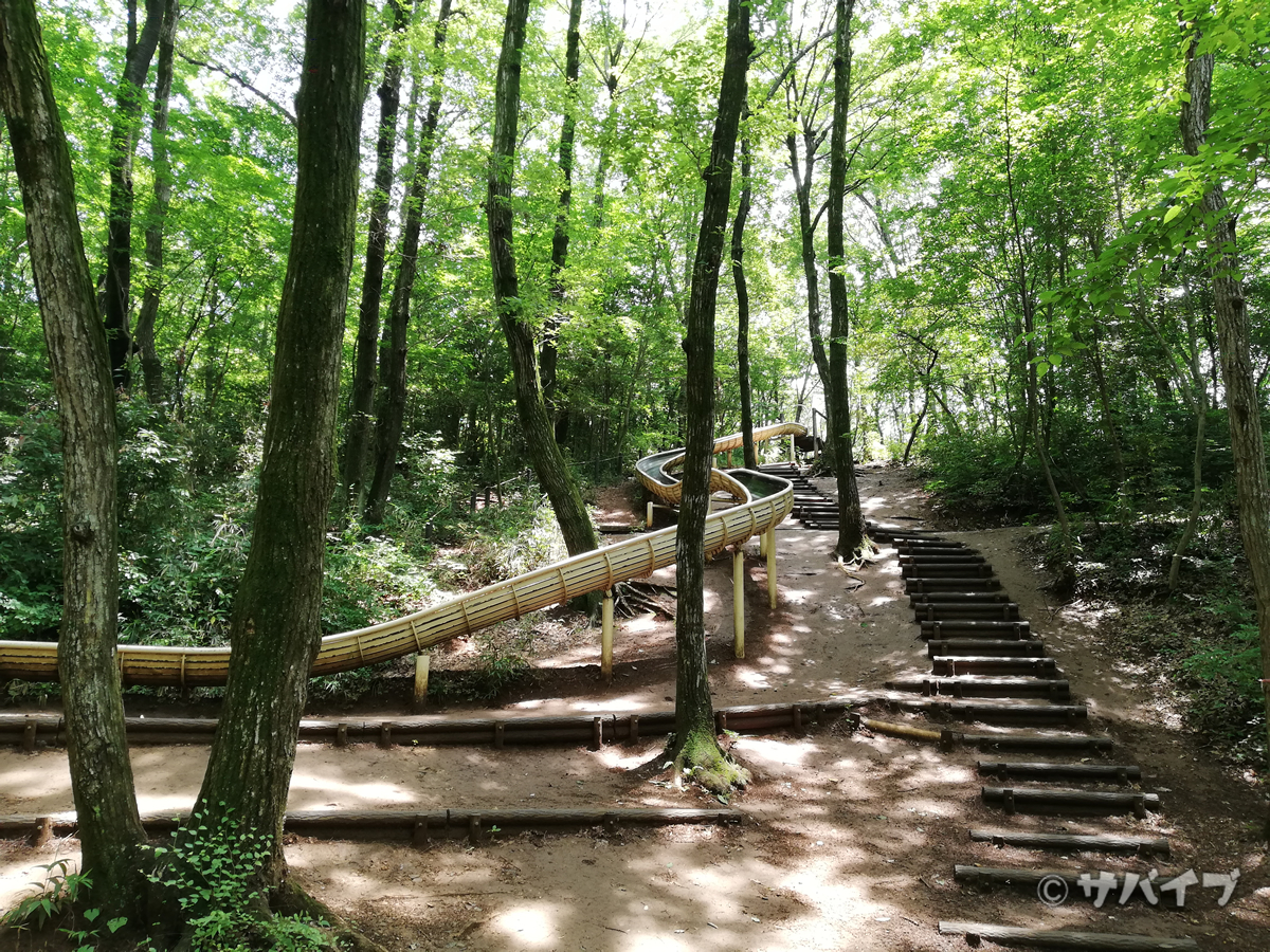 P20 liteで公園を撮影