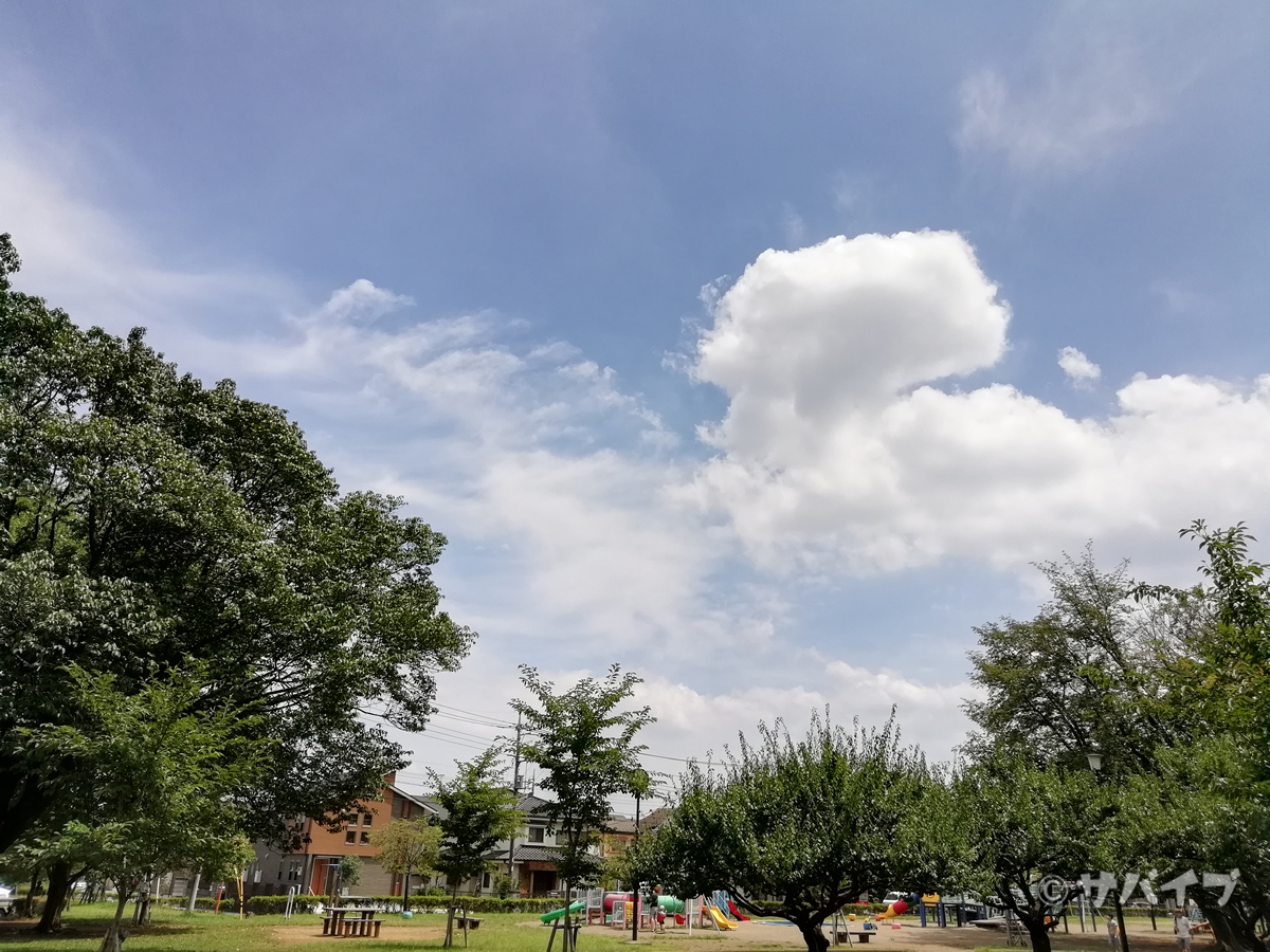 HUAWEI nova lite 2で公園を撮影