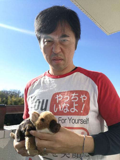 2019年はいのしし年