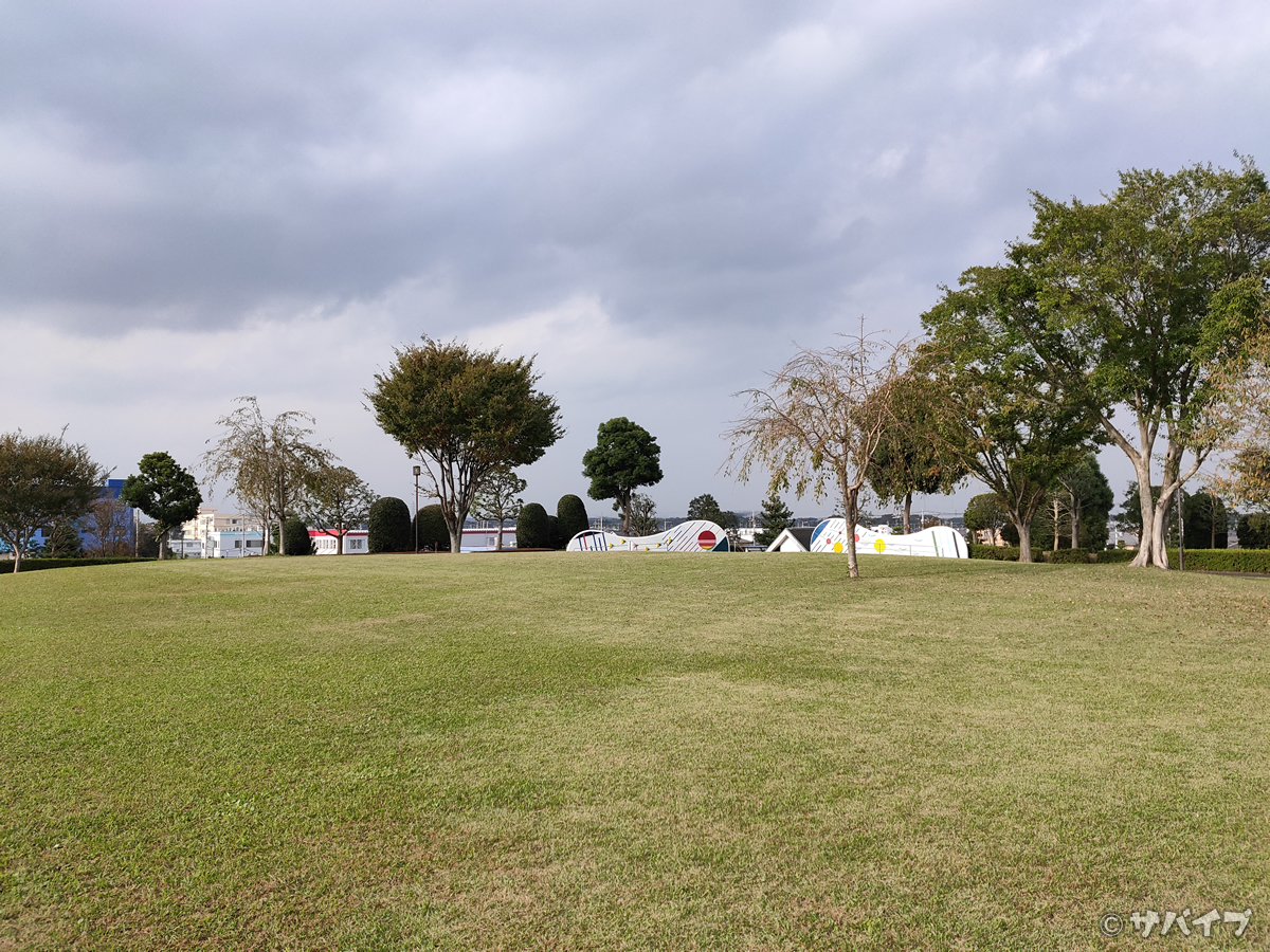 OPPO Reno Aのカメラで芝生の公園を撮影