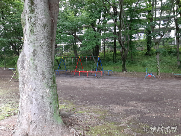 Galaxy A7で公園を撮影